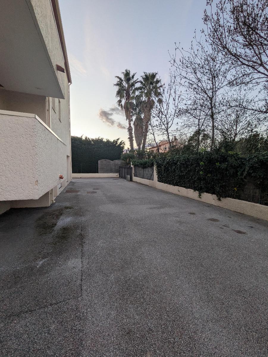 Photo 31